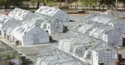 CSIRO's $379M Greenhouse Revolution: Rebuilding After Devastating Canberra Hailstorm