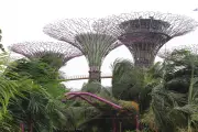 Exclusive Singapore Garden Tour for Kings Park Supporters in 2026