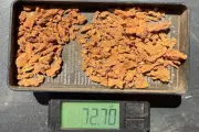 Gateway Strikes Gold Again: 328 New Nuggets Unearthed in WA's Golden Outback