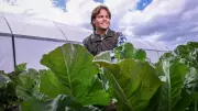 Geelong School Farm Tackles Food Poverty Crisis with Fresh Produce