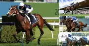 Hunter Horses Face Melbourne Cup Hurdle: Barrier Draw Analysis Reveals Key Challenges