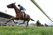 Jamie Melham's Daring Ride: How He Carved Through Impossible Gaps to Claim Melbourne Cup Glory