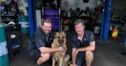 Jamison Automotive: Belconnen's Family-Run Mechanic Named Awards Finalist