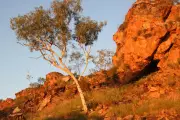 Kimberley Wild Weekend 2026: Exclusive East Kimberley Adventure