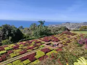 Madeira's Thrilling Airport Landing & Lush Botanical Gardens
