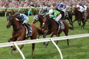 Melbourne Cup 2024: The Race That Stopped a Nation - Every Runner's Fate Revealed