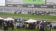 Melbourne Cup Chaos: Al Riffa Crowned Favourite as Wild Weather Threatens to Upend Australia's Greatest Race