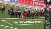 Melbourne Cup Jockey Blake Shinn Hospitalised After Terrifying Flemington Fall