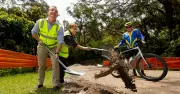 New Charlestown-Whitebridge Coastal Pathway Construction Underway in Lake Macquarie