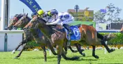 Nitro faces Rosehill challenge after impressive debut win