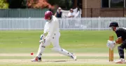 NSW Over-60s Cricket Title Hopes Dashed in Wollongong Homecoming