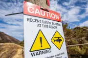 Perth Shark Sightings Force Beach Closures at Yanchep and Floreat
