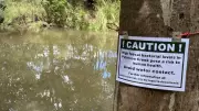 Poo pollution crisis threatens Cairns' platypus population