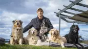 Portarlington vet Will Maginness takes veterinary skills global