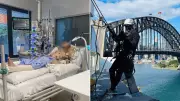 Sydney window cleaner in coma after horrific roof fall in Rosebery