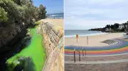 Sydney's Coogee Beach Turns Fluorescent Green, Council Responds