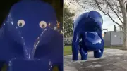 Teen Faces Court Over Mount Gambier's 'Blue Blob' Vandalism, Seeks Legal Funds