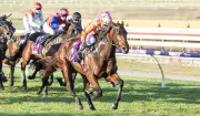 Western Empire Defies Age: Veteran Gelding Primed for Lee Steere Stakes Victory at Ascot