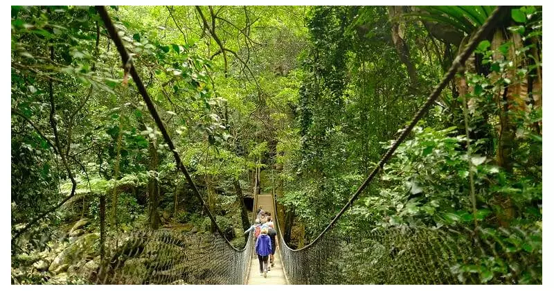 6 Best Kid-Friendly Bushwalks in the Illawarra for School Holidays