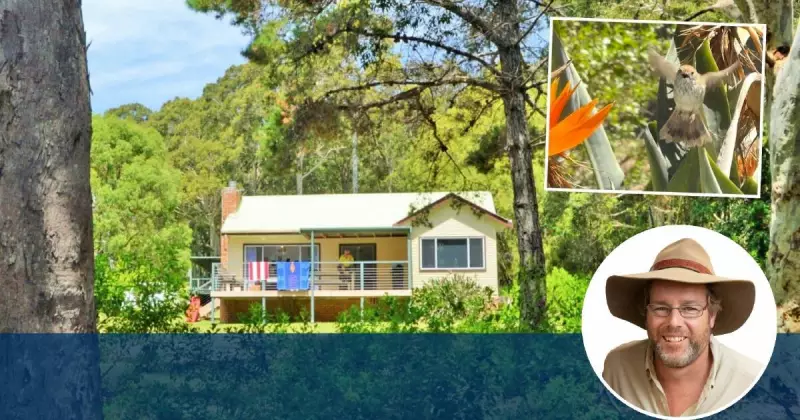 A Day of Digital Detox: How Forced Inactivity Revealed Nature's Hidden Wonders