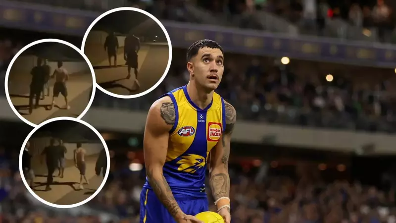 AFL Integrity Unit Aware of Tyler Brockman Street Fight Allegations