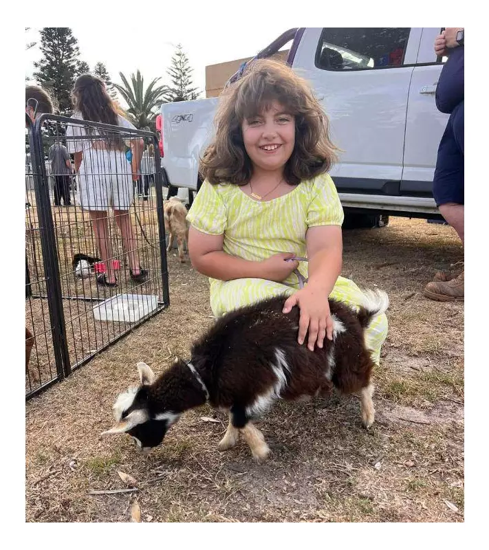 Albanese Accused of Failing to Curb 'Festering' Anti-Israel Sentiment