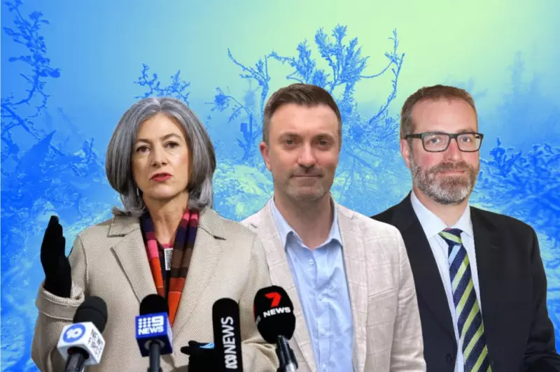 Algal Bloom Recedes: SA Health Rules Out Summer Beach Closures