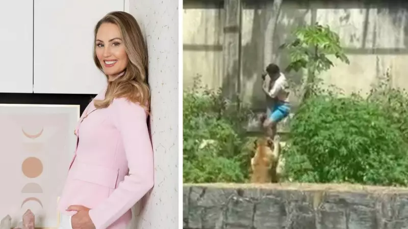 AstroTash's Chilling Zoo Confession: Lion Maulings 'Not Uncommon'