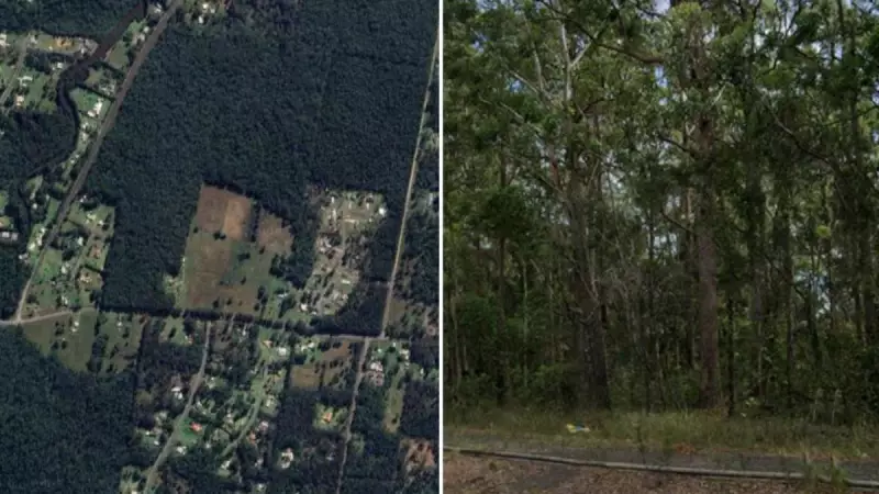 Body Found in NSW Bushland Ends Search for Missing 37-Year-Old Man