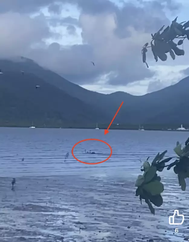 Cairns police standoff ends after man flees into crocodile-infested waters