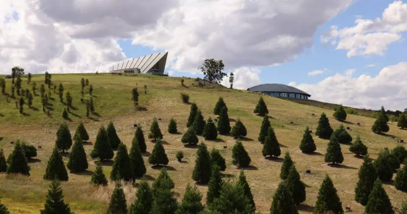 Canberra's National Arboretum Hailed as 'Crowning Glory' Amid Senate Scrutiny of War Memorial Prize