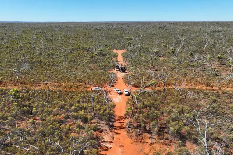 Dynamic Metals Secures $175k Grant for WA Gold Drilling, Unveils New Soil Anomalies