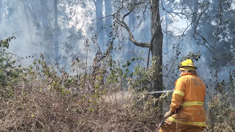 Far North Queensland firefighters battle vegetation fires amid heatwave