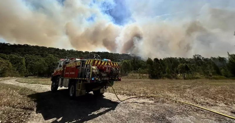 Firefighter Dies After Being Struck by Tree at Bulahdelah Blaze