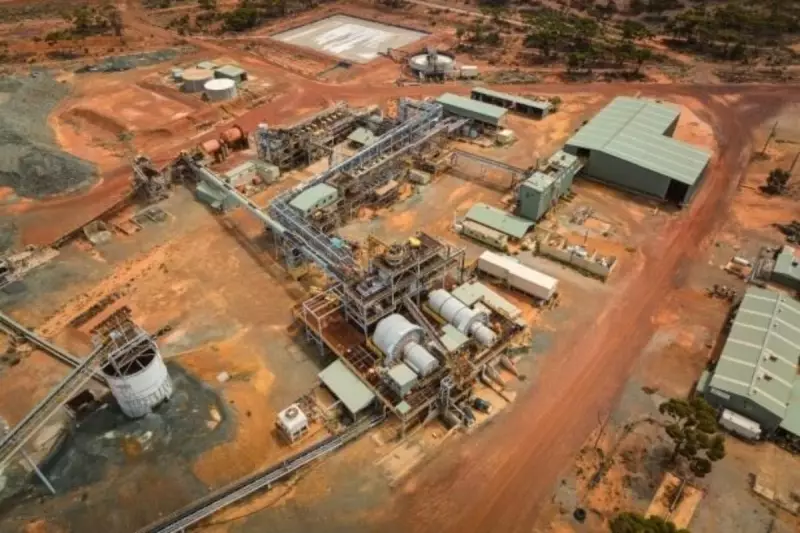 Gold Price Surge Prompts Horizon Minerals to Rethink WA Plant Expansion