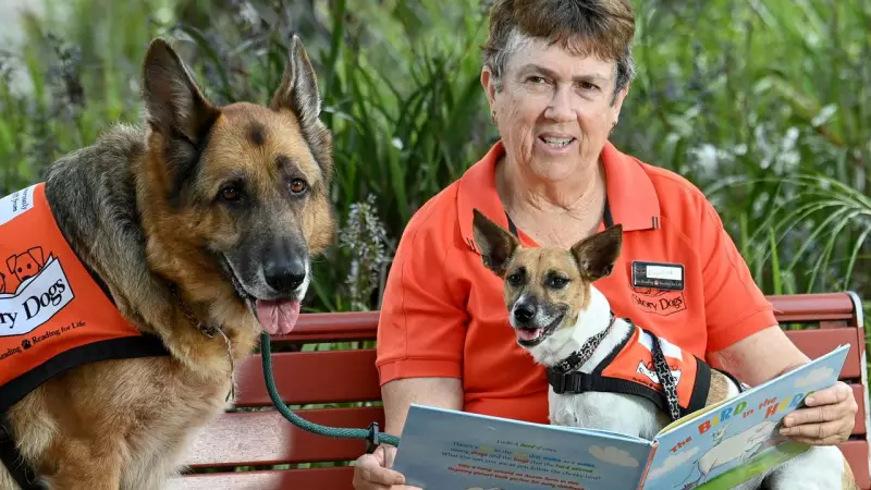 How Story Dogs Help Townsville Kids Gain Confidence in Reading