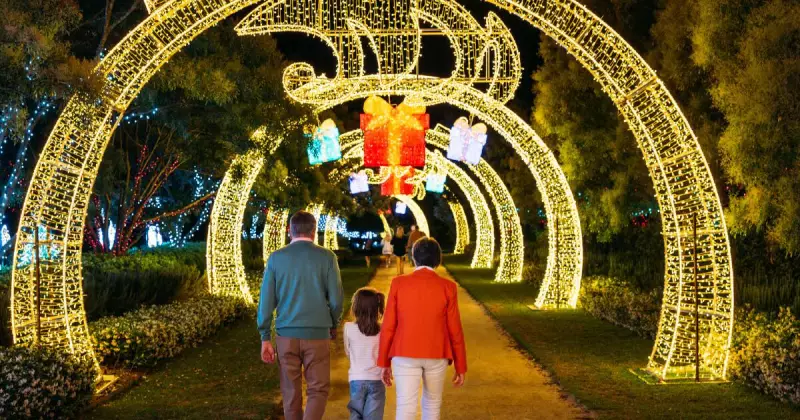 Hunter Valley Gardens Christmas Lights Spectacular: 4.5 Million Lights Illuminate Festive Season