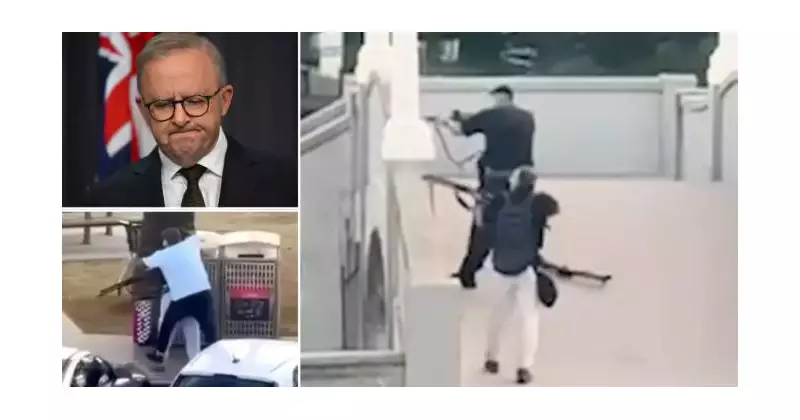 Illawarra MP: Tighter Gun Laws Won't Prevent Extremist Attacks Like Bondi