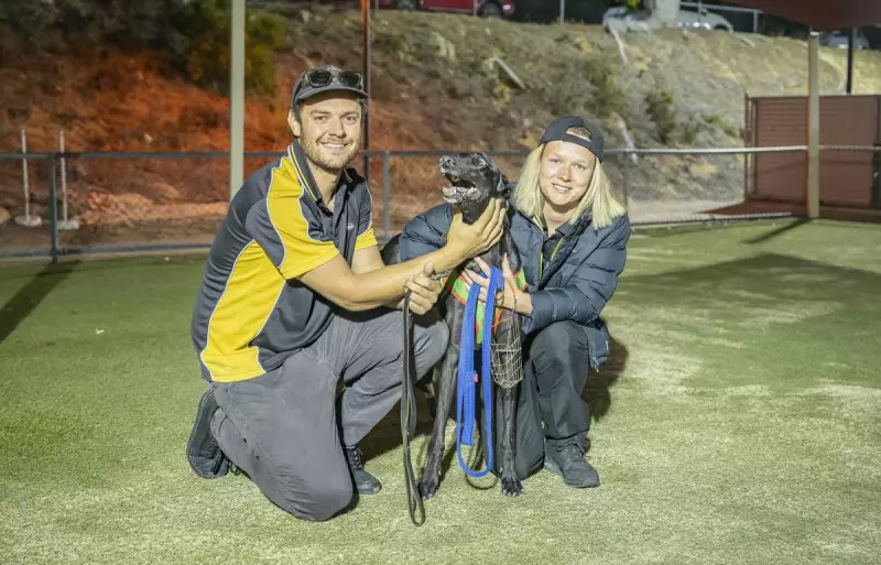 Italian Stallion Dominates 400m Debut at Mandurah