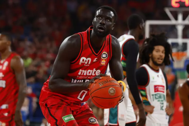 Jo Lual-Acuil's 150th NBL Game: From Soccer Pitches to Perth Wildcats Stardom