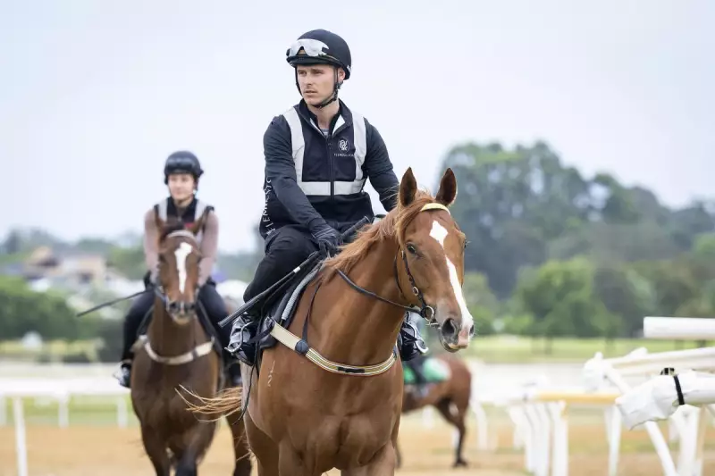 King Of Light Firm Favourite for $1.5m Northerly Stakes After Gate 8 Draw