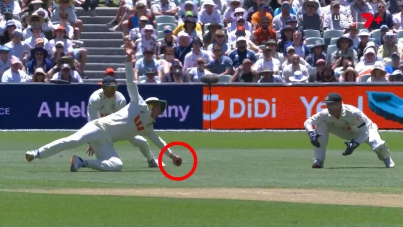 Labuschagne's 'outrageous' one-handed screamer stuns Ashes Test