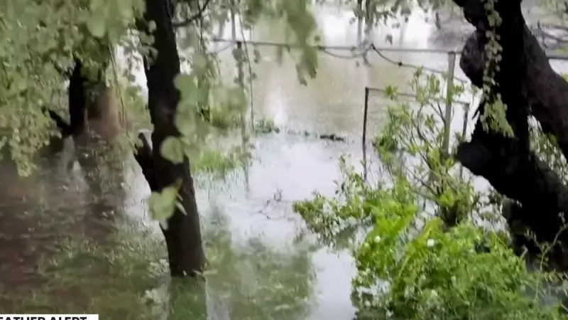 Man Dies in Queensland Flash Floods as Record Rainfall Hits North-West