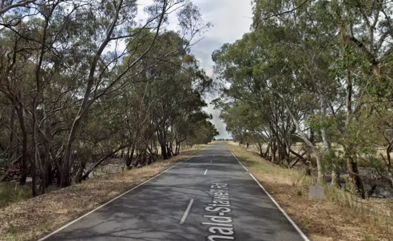 Man in 20s dies after car slams into trees in Victoria's northwest