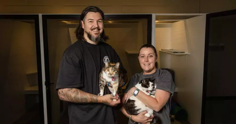 Meow Meow Hotel Opens Dec 9: Cardiff's Premium Cat Boarding for 30 Felines