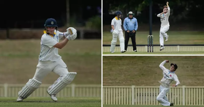 NDCA's Pre-Christmas Cricket Carnage: City Tops Ladder After Thrilling Chase