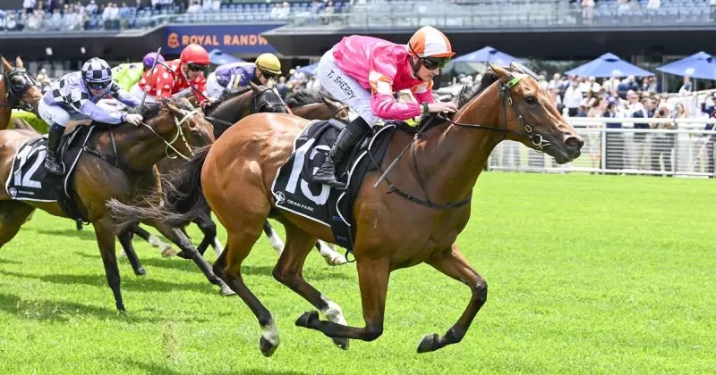Randwick Race Day Preview: Expert Tips and Selections for Saturday's Full Card