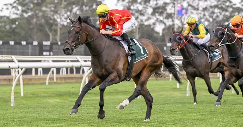 Randwick Race Day Preview: Navy Buoy, Ripley and Bartolf Among Top Tips