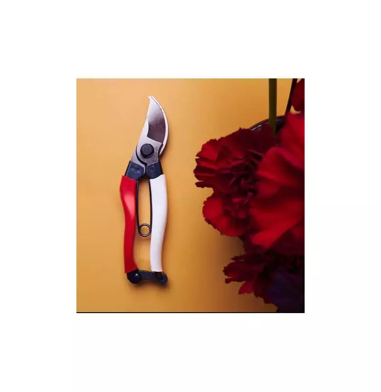 Sabrina Hahn's 2025 Christmas Gift Guide for Perth Gardeners