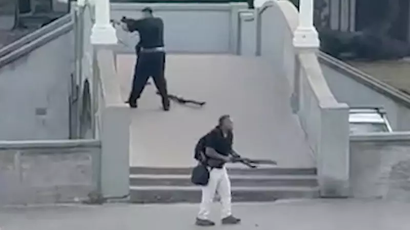 Sydney Gun Data Reveals Individuals with Over 300 Firearms as Reform Debate Heats Up